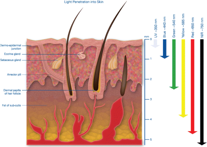 Infrared sauna light waves penetrating skin